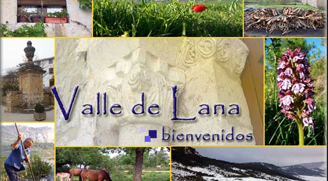 Imagen de la antigua página web del valle de Lana