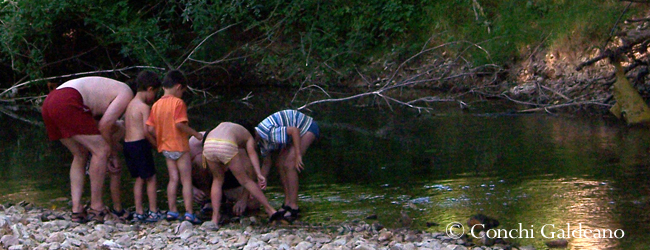 el río Ega a su paso cercano al Valle de Lana