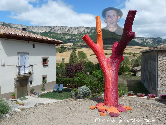 El árbol de Pilar