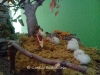 belen_hermosa_gaviria-7